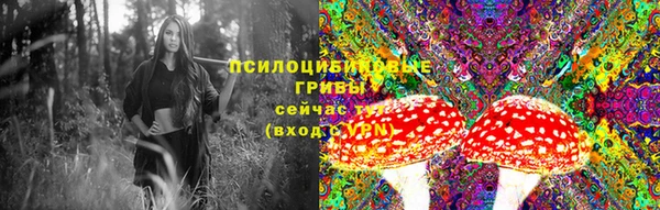 дмт Балахна