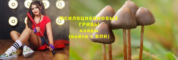 a pvp Балабаново