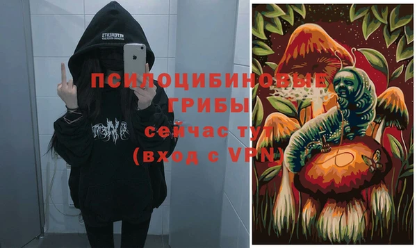 дмт Балахна